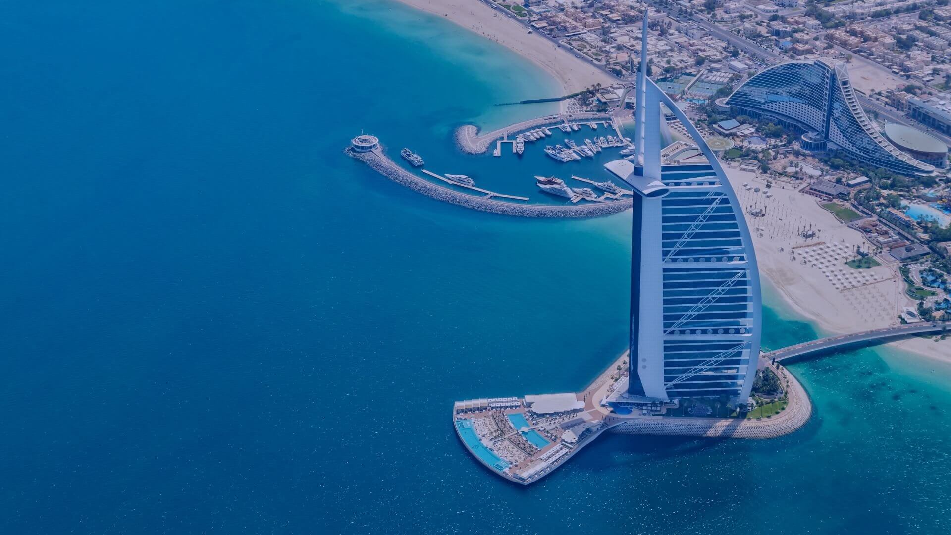 Vivacy amwc Dubai
